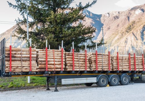 Forest industry. Trailer loaded with tree trunks.